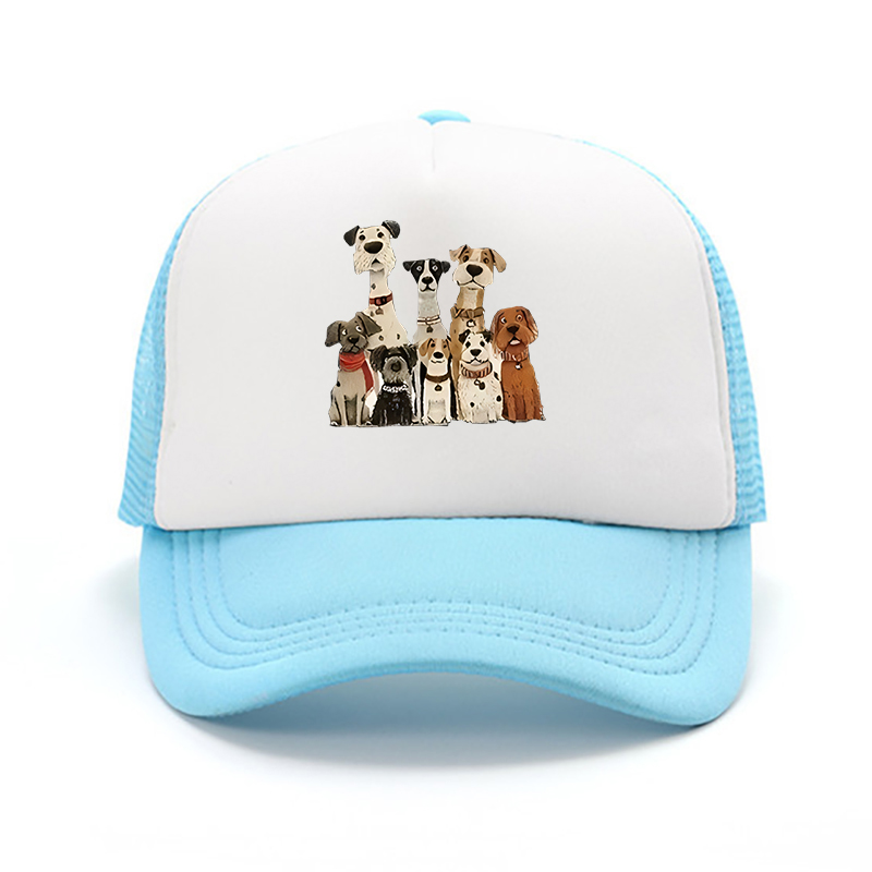 Nouvelle casquette de baseball - Cap Streetwear Brand avis et prix