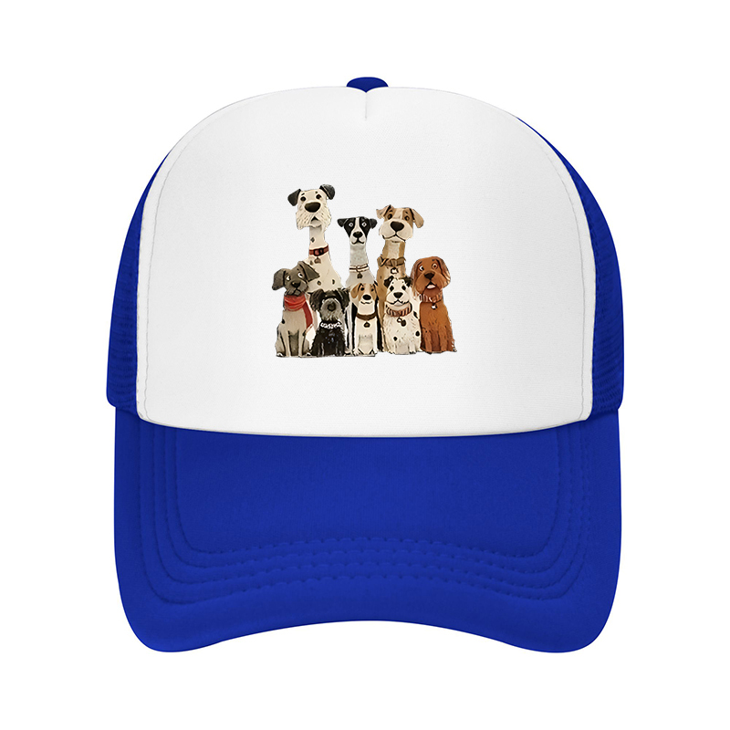 Nouvelle casquette de baseball - Cap Streetwear Brand avis et prix